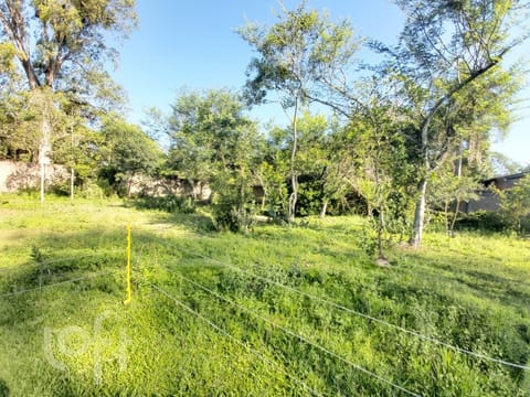 Image 41 - 239663